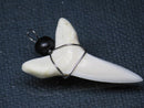 TOKO-BEADS PB016-29 Shark Tooth (Maco Shark with wire LL) 34mm PB016-29 サメの歯（アオザメ ワイヤー付 LL） 34mm Asian bead & African bead  Handmade,Lampeork,bead,asia,india,ethnic,parts,accessory,beads とんぼ玉,ビーズ,トンボ玉,アジア,インド,エスニック,手作り,パーツ,アクセサリー