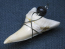 TOKO-BEADS PB016-30 Shark Tooth (Maco Shark with wire LL) 42mm PB016-30 サメの歯（アオザメ ワイヤー付 LL） 42mm Asian bead & African bead  Handmade,Lampeork,bead,asia,india,ethnic,parts,accessory,beads とんぼ玉,ビーズ,トンボ玉,アジア,インド,エスニック,手作り,パーツ,アクセサリー