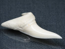TOKO-BEADS PB017-01 Shark Tooth (Mako Shark XL) 40mm PB017-01 サメの歯（アオザメXL) 40mm Asian bead & African bead  Handmade,Lampeork,bead,asia,india,ethnic,parts,accessory,beads とんぼ玉,ビーズ,トンボ玉,アジア,インド,エスニック,手作り,パーツ,アクセサリー