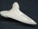 TOKO-BEADS PB017-02 Shark Tooth (Mako Shark XL) 40mm PB017-02 サメの歯（アオザメXL) 40mm Asian bead & African bead  Handmade,Lampeork,bead,asia,india,ethnic,parts,accessory,beads とんぼ玉,ビーズ,トンボ玉,アジア,インド,エスニック,手作り,パーツ,アクセサリー
