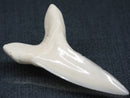 TOKO-BEADS PB017-04 Shark Tooth (Mako Shark XL) 41mm PB017-04 サメの歯（アオザメXL) 41mm Asian bead & African bead  Handmade,Lampeork,bead,asia,india,ethnic,parts,accessory,beads とんぼ玉,ビーズ,トンボ玉,アジア,インド,エスニック,手作り,パーツ,アクセサリー