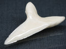 TOKO-BEADS PB017-06 Shark Tooth (Mako Shark XL) 41mm PB017-06 サメの歯（アオザメXL) 41mm Asian bead & African bead  Handmade,Lampeork,bead,asia,india,ethnic,parts,accessory,beads とんぼ玉,ビーズ,トンボ玉,アジア,インド,エスニック,手作り,パーツ,アクセサリー