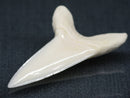 TOKO-BEADS PB017-08 Shark Tooth (Mako Shark XL) 41mm PB017-08 サメの歯（アオザメXL) 41mm Asian bead & African bead  Handmade,Lampeork,bead,asia,india,ethnic,parts,accessory,beads とんぼ玉,ビーズ,トンボ玉,アジア,インド,エスニック,手作り,パーツ,アクセサリー