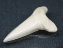 TOKO-BEADS PB017-09 Shark Tooth (Mako Shark XL) 42mm PB017-09 サメの歯（アオザメXL) 42mm Asian bead & African bead  Handmade,Lampeork,bead,asia,india,ethnic,parts,accessory,beads とんぼ玉,ビーズ,トンボ玉,アジア,インド,エスニック,手作り,パーツ,アクセサリー