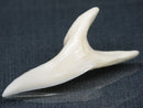 TOKO-BEADS PB017-11 Shark Tooth (Mako Shark XL) 42mm PB017-11 サメの歯（アオザメXL) 42mm Asian bead & African bead  Handmade,Lampeork,bead,asia,india,ethnic,parts,accessory,beads とんぼ玉,ビーズ,トンボ玉,アジア,インド,エスニック,手作り,パーツ,アクセサリー