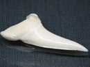 TOKO-BEADS PB017-13 Shark Tooth (Mako Shark XL) 42mm PB017-13 サメの歯（アオザメXL) 42mm Asian bead & African bead  Handmade,Lampeork,bead,asia,india,ethnic,parts,accessory,beads とんぼ玉,ビーズ,トンボ玉,アジア,インド,エスニック,手作り,パーツ,アクセサリー