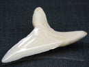 TOKO-BEADS PB017-17 Shark Tooth (Mako Shark XL) 42mm PB017-17 サメの歯（アオザメXL) 42mm Asian bead & African bead  Handmade,Lampeork,bead,asia,india,ethnic,parts,accessory,beads とんぼ玉,ビーズ,トンボ玉,アジア,インド,エスニック,手作り,パーツ,アクセサリー