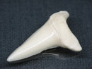 TOKO-BEADS PB017-17 Shark Tooth (Mako Shark XL) 42mm PB017-17 サメの歯（アオザメXL) 42mm Asian bead & African bead  Handmade,Lampeork,bead,asia,india,ethnic,parts,accessory,beads とんぼ玉,ビーズ,トンボ玉,アジア,インド,エスニック,手作り,パーツ,アクセサリー