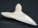 TOKO-BEADS PB017-18 Shark Tooth (Mako Shark XL) 42mm PB017-18 サメの歯（アオザメXL) 42mm Asian bead & African bead  Handmade,Lampeork,bead,asia,india,ethnic,parts,accessory,beads とんぼ玉,ビーズ,トンボ玉,アジア,インド,エスニック,手作り,パーツ,アクセサリー