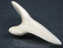 TOKO-BEADS PB017-20 Shark Tooth (Mako Shark XL) 42mm PB017-20 サメの歯（アオザメXL) 42mm Asian bead & African bead  Handmade,Lampeork,bead,asia,india,ethnic,parts,accessory,beads とんぼ玉,ビーズ,トンボ玉,アジア,インド,エスニック,手作り,パーツ,アクセサリー