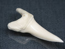 TOKO-BEADS PB017-24 Shark Tooth (Mako Shark XL) 42mm PB017-24 サメの歯（アオザメXL) 42mm Asian bead & African bead  Handmade,Lampeork,bead,asia,india,ethnic,parts,accessory,beads とんぼ玉,ビーズ,トンボ玉,アジア,インド,エスニック,手作り,パーツ,アクセサリー