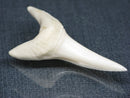 TOKO-BEADS PB017-25 Shark Tooth (Mako Shark XL) 42mm PB017-25 サメの歯（アオザメXL) 42mm Asian bead & African bead  Handmade,Lampeork,bead,asia,india,ethnic,parts,accessory,beads とんぼ玉,ビーズ,トンボ玉,アジア,インド,エスニック,手作り,パーツ,アクセサリー