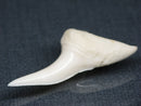 TOKO-BEADS PB017-25 Shark Tooth (Mako Shark XL) 42mm PB017-25 サメの歯（アオザメXL) 42mm Asian bead & African bead  Handmade,Lampeork,bead,asia,india,ethnic,parts,accessory,beads とんぼ玉,ビーズ,トンボ玉,アジア,インド,エスニック,手作り,パーツ,アクセサリー