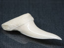 TOKO-BEADS PB017-26 Shark Tooth (Mako Shark XL) 42mm PB017-26 サメの歯（アオザメXL) 42mm Asian bead & African bead  Handmade,Lampeork,bead,asia,india,ethnic,parts,accessory,beads とんぼ玉,ビーズ,トンボ玉,アジア,インド,エスニック,手作り,パーツ,アクセサリー