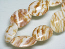 TOKO-BEADS PB018-01N Shell bead (strand) 17~22mm PB018-01N シェルビーズ（連） 17~22mm Asian bead & African bead  Handmade,Lampeork,bead,asia,india,ethnic,parts,accessory,beads とんぼ玉,ビーズ,トンボ玉,アジア,インド,エスニック,手作り,パーツ,アクセサリー
