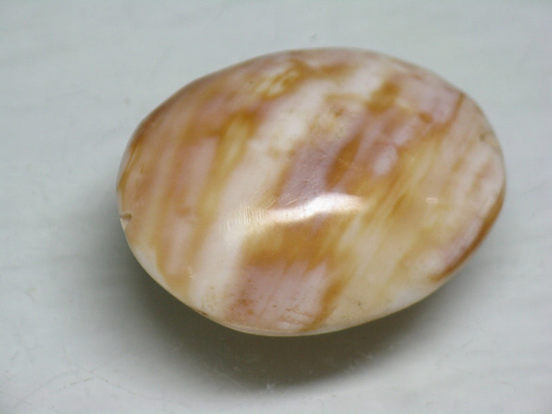 TOKO-BEADS PB018-01S Shell bead 17~22mm PB018-01S シェルビーズ 17~22mm Asian bead & African bead  Handmade,Lampeork,bead,asia,india,ethnic,parts,accessory,beads とんぼ玉,ビーズ,トンボ玉,アジア,インド,エスニック,手作り,パーツ,アクセサリー