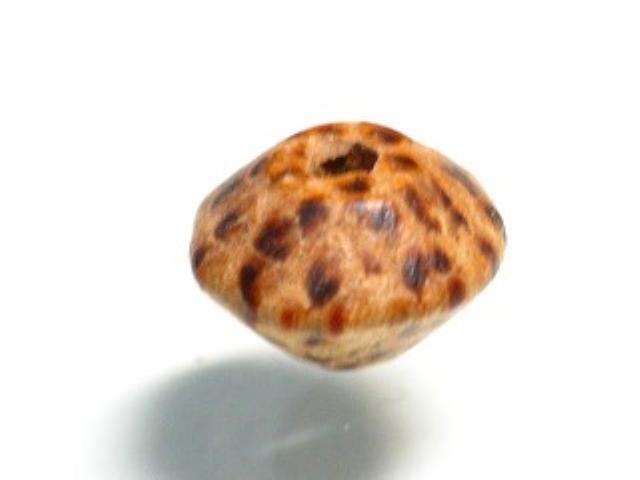 TOKO-BEADS PW002-57 Palm wood bead 9mm PW002-57 ココナッツビーズ 9mm Asian bead & African bead  Handmade,Lampeork,bead,asia,india,ethnic,parts,accessory,beads とんぼ玉,ビーズ,トンボ玉,アジア,インド,エスニック,手作り,パーツ,アクセサリー