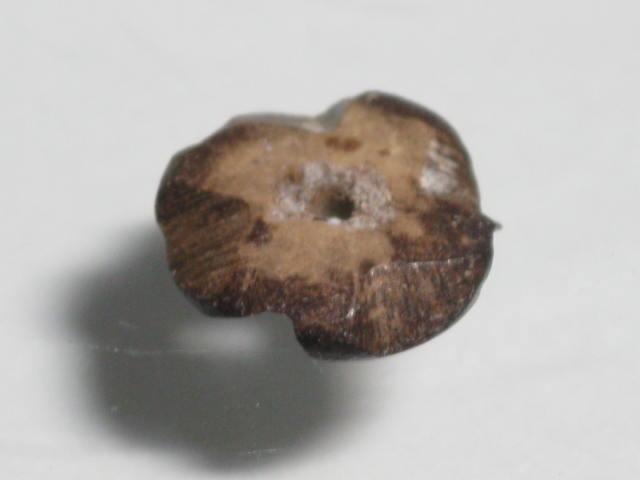 TOKO-BEADS PW004-05S Palm wood bead 10mm PW004-05S ココナッツビーズ 10mm Asian bead & African bead  Handmade,Lampeork,bead,asia,india,ethnic,parts,accessory,beads とんぼ玉,ビーズ,トンボ玉,アジア,インド,エスニック,手作り,パーツ,アクセサリー