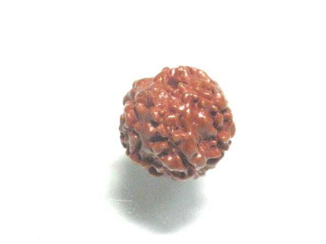 | TOKO-BEADS |PW005-05 菩提樹ビーズ 9.5mmとんぼ玉,ビーズ,トンボ玉,アジア,インド,エスニック,手作り,パーツ,アクセサリー