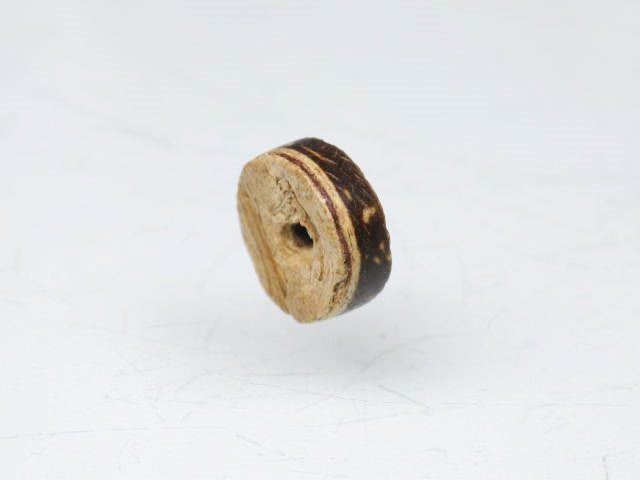 TOKO-BEADS PW202-17S Palmtree Seed bead 8mm PW202-17S ココナッツシードビーズ 8mm Asian bead & African bead  Handmade,Lampeork,bead,asia,india,ethnic,parts,accessory,beads とんぼ玉,ビーズ,トンボ玉,アジア,インド,エスニック,手作り,パーツ,アクセサリー