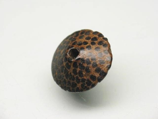 | TOKO-BEADS |PW305S-08 ココナッツビーズ 15~16mmとんぼ玉,ビーズ,トンボ玉,アジア,インド,エスニック,手作り,パーツ,アクセサリー