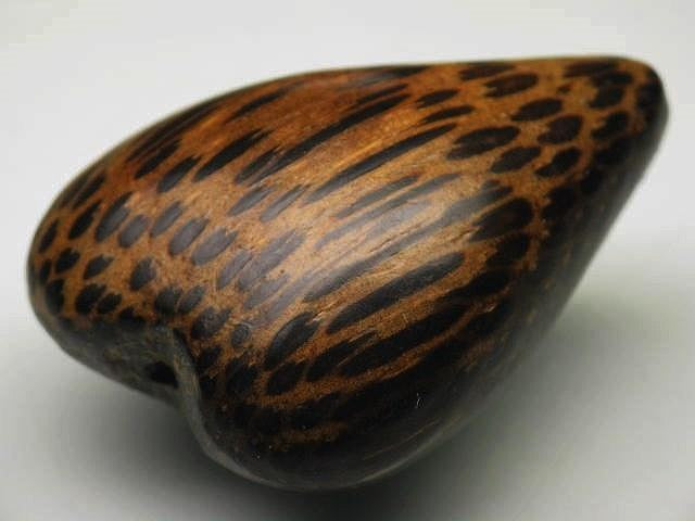 TOKO-BEADS PW305S-10 Palm wood bead 28mm PW305S-10 ココナッツビーズ 28mm Asian bead & African bead  Handmade,Lampeork,bead,asia,india,ethnic,parts,accessory,beads とんぼ玉,ビーズ,トンボ玉,アジア,インド,エスニック,手作り,パーツ,アクセサリー