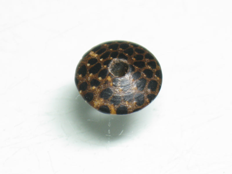 TOKO-BEADS PW305-31S Palm wood bead 10mm PW305-31S ココナッツビーズ 10mm Asian bead & African bead  Handmade,Lampeork,bead,asia,india,ethnic,parts,accessory,beads とんぼ玉,ビーズ,トンボ玉,アジア,インド,エスニック,手作り,パーツ,アクセサリー