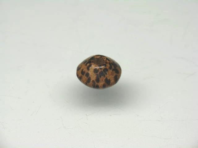 TOKO-BEADS PW306S-08 Palm wood bead 8mm PW306S-08 ココナッツビーズ 8mm Asian bead & African bead  Handmade,Lampeork,bead,asia,india,ethnic,parts,accessory,beads とんぼ玉,ビーズ,トンボ玉,アジア,インド,エスニック,手作り,パーツ,アクセサリー