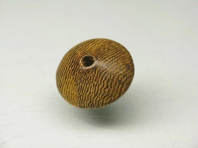 TOKO-BEADS PW308-19S Wooden bead 14~15mm PW308-19S ウッドビーズ 14~15mm Asian bead & African bead  Handmade,Lampeork,bead,asia,india,ethnic,parts,accessory,beads とんぼ玉,ビーズ,トンボ玉,アジア,インド,エスニック,手作り,パーツ,アクセサリー