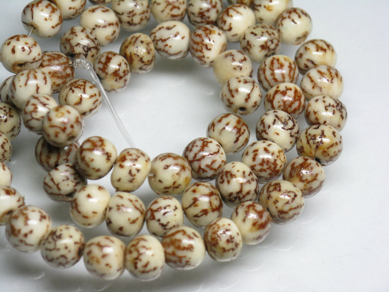 TOKO-BEADS PW998-20N Salwag Seed bead (strand) 7~7.5mm PW998-20N 種子ビーズ（サルワグナッツ）（連） 7~7.5mm Asian bead & African bead  Handmade,Lampeork,bead,asia,india,ethnic,parts,accessory,beads とんぼ玉,ビーズ,トンボ玉,アジア,インド,エスニック,手作り,パーツ,アクセサリー