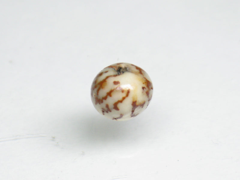 TOKO-BEADS PW998-20S Salwag Seed bead 7~7.5mm PW998-20S 種子ビーズ（サルワグナッツ） 7~7.5mm Asian bead & African bead  Handmade,Lampeork,bead,asia,india,ethnic,parts,accessory,beads とんぼ玉,ビーズ,トンボ玉,アジア,インド,エスニック,手作り,パーツ,アクセサリー