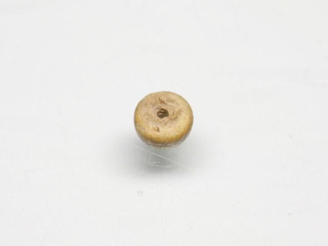 TOKO-BEADS PW999-03S Palmtree Seed bead 5.3mm PW999-03S ココナッツシードビーズ 5.3mm Asian bead & African bead  Handmade,Lampeork,bead,asia,india,ethnic,parts,accessory,beads とんぼ玉,ビーズ,トンボ玉,アジア,インド,エスニック,手作り,パーツ,アクセサリー