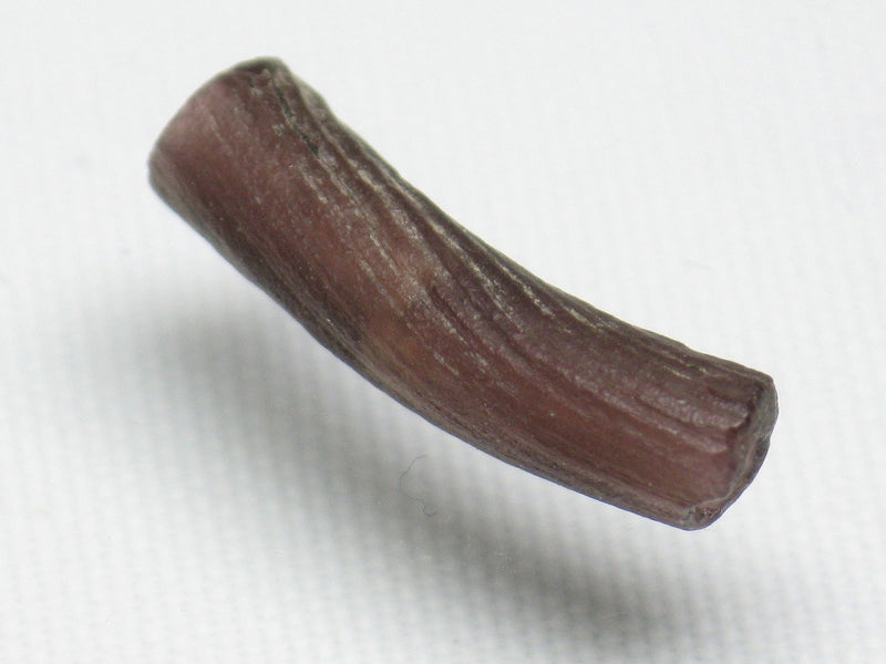 TOKO-BEADS RG051-21 Roman Glass bead 5mm RG051-21 ローマングラス 5mm Asian bead & African bead  Handmade,Lampeork,bead,asia,india,ethnic,parts,accessory,beads とんぼ玉,ビーズ,トンボ玉,アジア,インド,エスニック,手作り,パーツ,アクセサリー