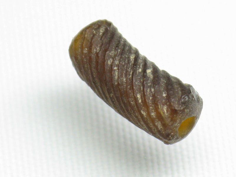TOKO-BEADS RG051-57 Roman Glass bead 6.5mm RG051-57 ローマングラス 6.5mm Asian bead & African bead  Handmade,Lampeork,bead,asia,india,ethnic,parts,accessory,beads とんぼ玉,ビーズ,トンボ玉,アジア,インド,エスニック,手作り,パーツ,アクセサリー