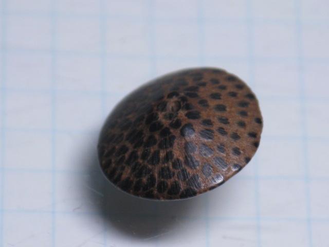 TOKO-BEADS SW001-63 Palm wood bead 18.5mm (cannot be restocked) SW001-63 ココナッツビーズ（ソロバン） 18.5mm 在庫限り Asian bead & African bead  Handmade,Lampeork,bead,asia,india,ethnic,parts,accessory,beads とんぼ玉,ビーズ,トンボ玉,アジア,インド,エスニック,手作り,パーツ,アクセサリー