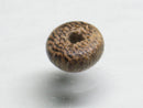 TOKO-BEADS SW001-83 Wooden bead 8mm SW001-83 ウッドビーズ 8mm Asian bead & African bead  Handmade,Lampeork,bead,asia,india,ethnic,parts,accessory,beads とんぼ玉,ビーズ,トンボ玉,アジア,インド,エスニック,手作り,パーツ,アクセサリー