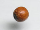 TOKO-BEADS SW002-25 Wooden bead 6.5mm SW002-25 ウッドビーズ 6.5mm Asian bead & African bead  Handmade,Lampeork,bead,asia,india,ethnic,parts,accessory,beads とんぼ玉,ビーズ,トンボ玉,アジア,インド,エスニック,手作り,パーツ,アクセサリー